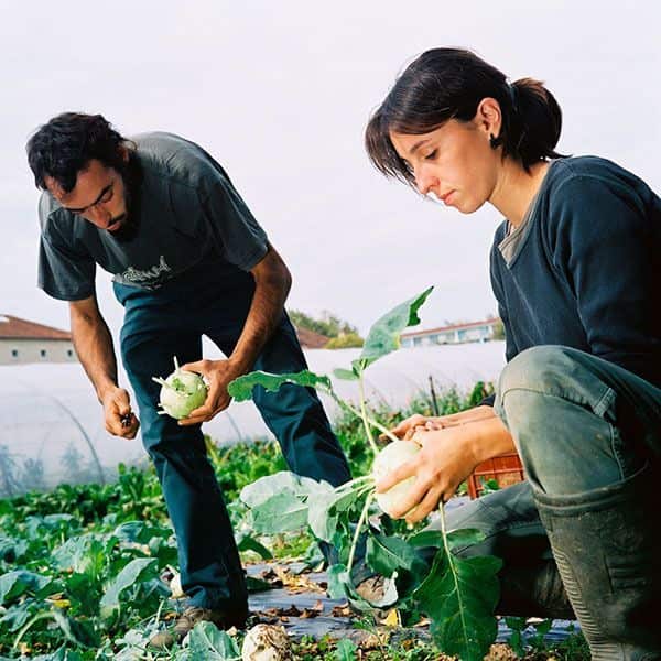 Association Les Amis du Jardin