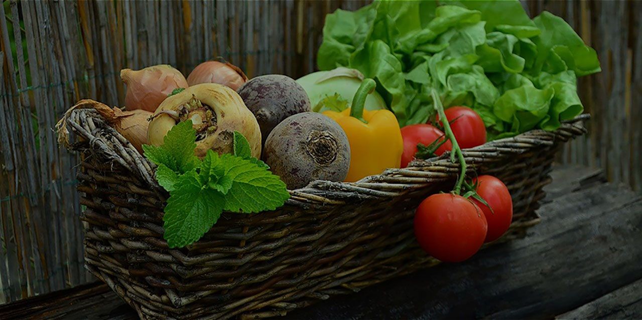 retour vers l'emploi