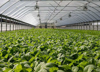 Empreinte &Eacute;cologique