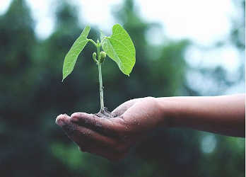 Les missions de l'association les Amis du Jardin