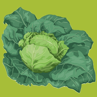 logo feuille de choux