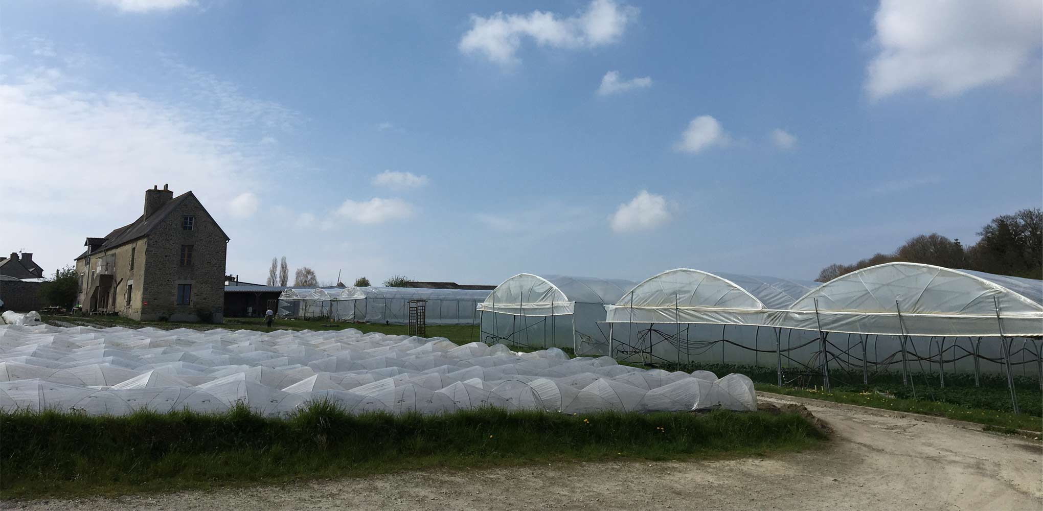 des legumes de saison